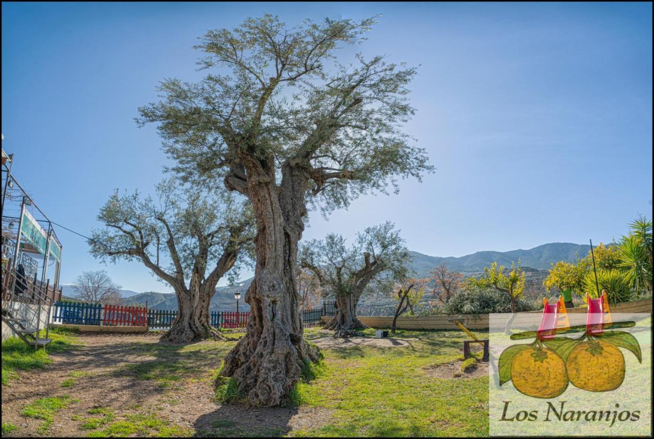 Hostal Y Apartamento Rural Los Naranjos Melegis Dış mekan fotoğraf