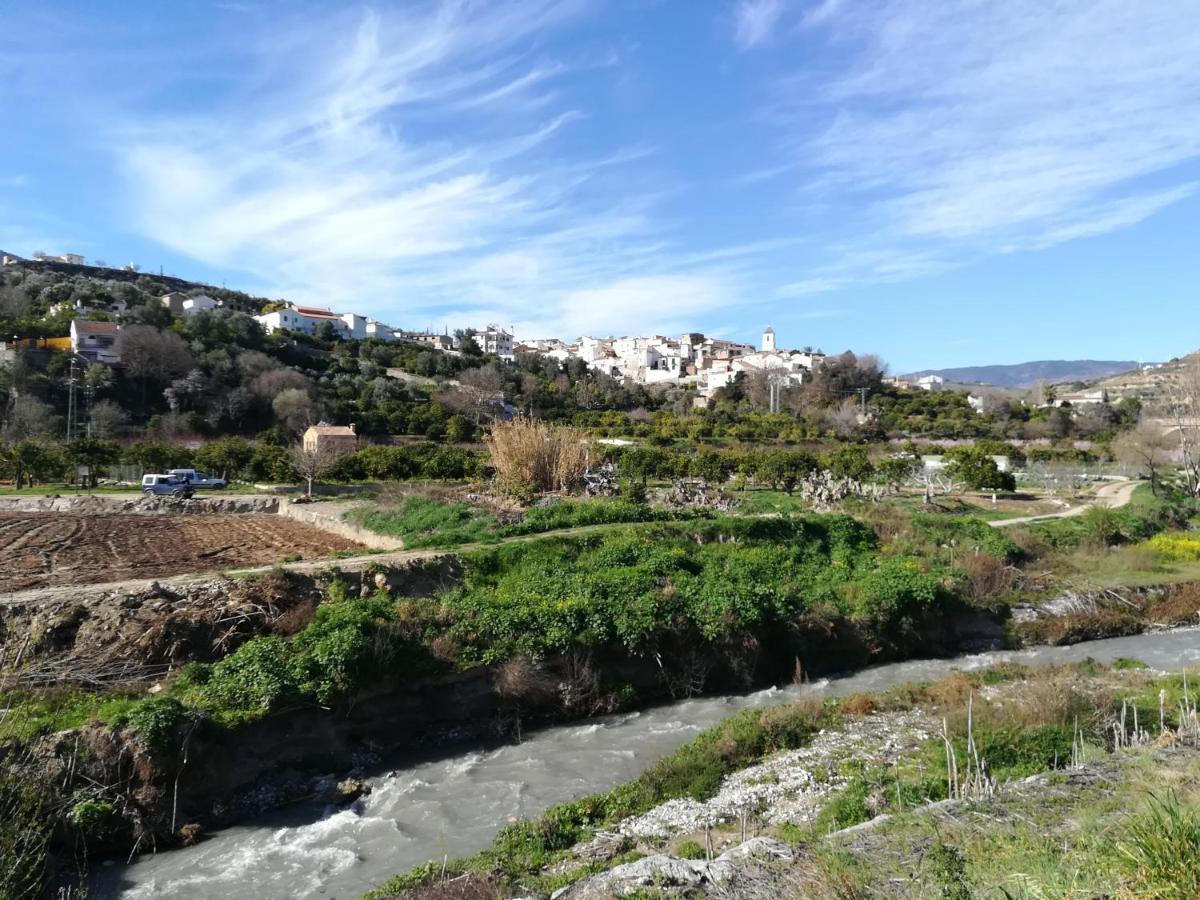 Hostal Y Apartamento Rural Los Naranjos Otel Melegis Dış mekan fotoğraf