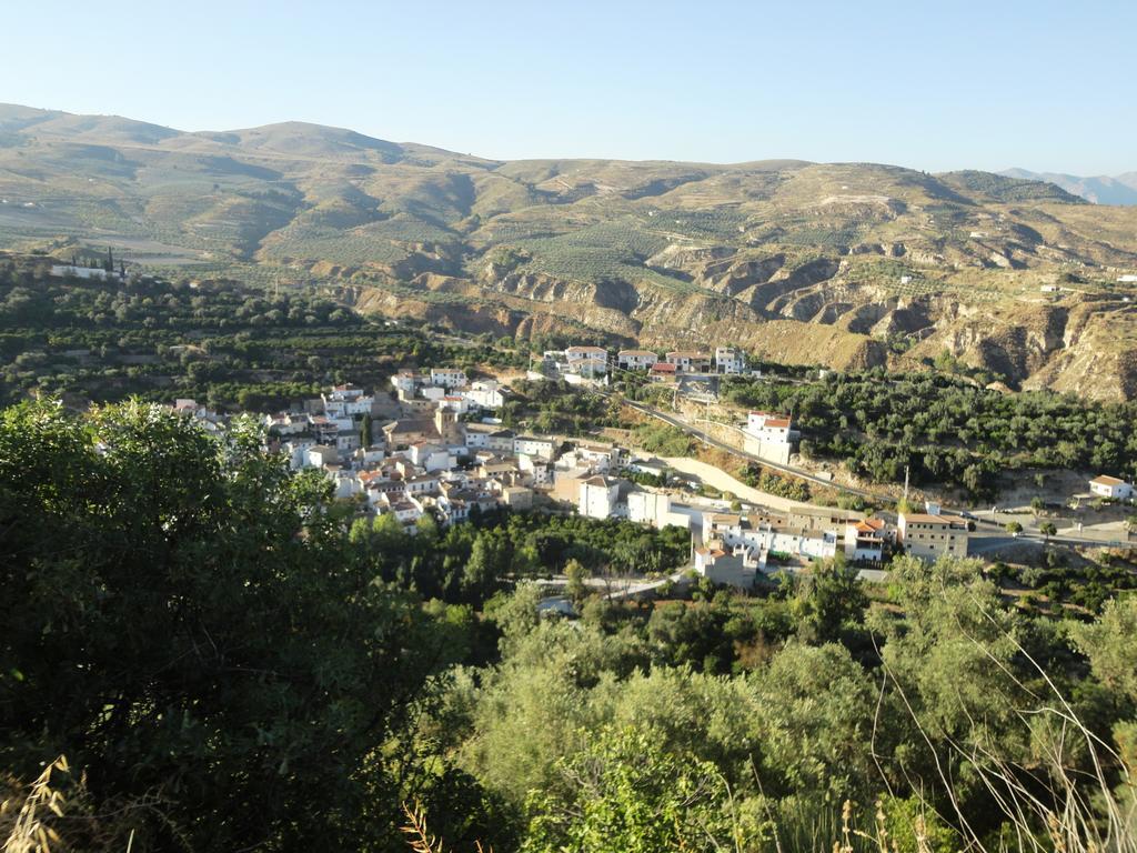 Hostal Y Apartamento Rural Los Naranjos Otel Melegis Oda fotoğraf