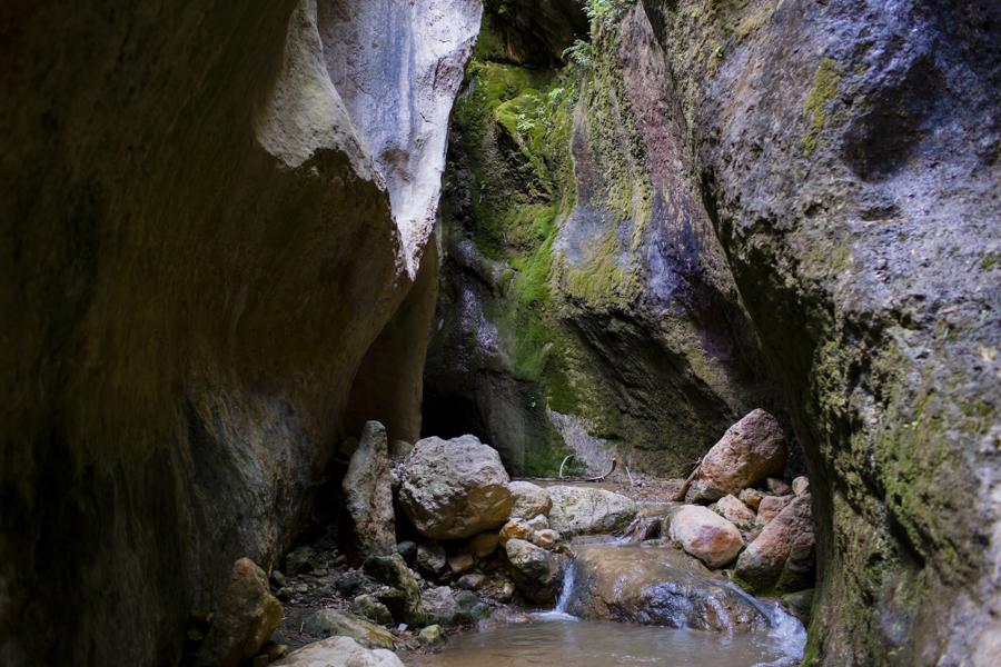 Hostal Y Apartamento Rural Los Naranjos Melegis Dış mekan fotoğraf