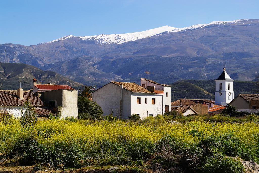 Hostal Y Apartamento Rural Los Naranjos Otel Melegis Dış mekan fotoğraf