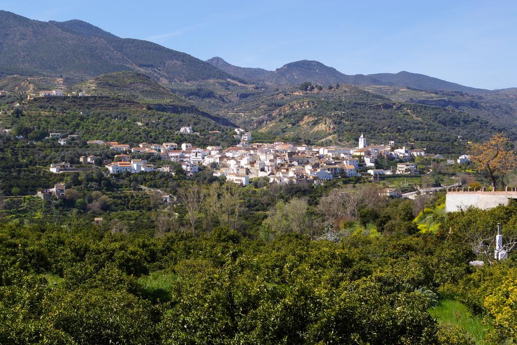 Hostal Y Apartamento Rural Los Naranjos Otel Melegis Oda fotoğraf