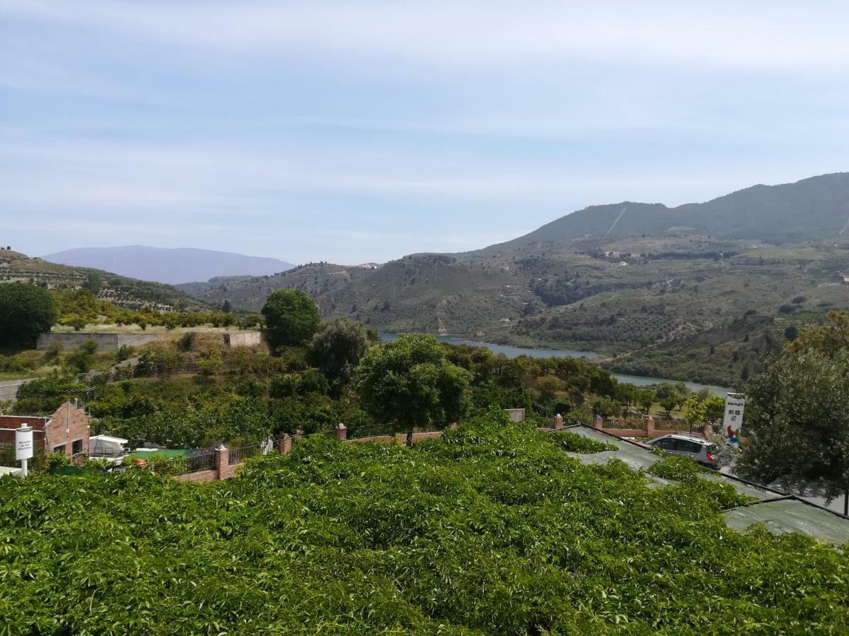 Hostal Y Apartamento Rural Los Naranjos Melegis Dış mekan fotoğraf